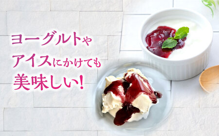 ブルーベリーミルクの素 280g×2 ブルーベリー[AEBZ001]