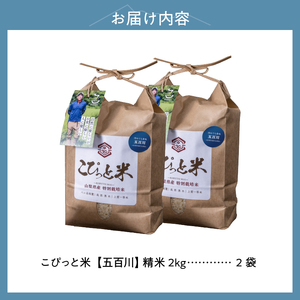 【令和7年度米】こぴっと米【五百川】4kg　1等特別栽培米100％  米 精米 4kg こぴっと米 早生品種 令和7年産 北杜市産 お米  [h020]