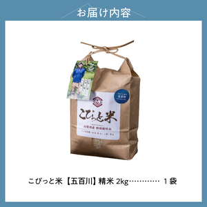 【令和7年度米】こぴっと米【五百川】2kg　1等特別栽培米100％  米 精米 2kg こぴっと米 早生品種  令和7年産 北杜市産 お米 [h020]