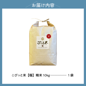 【令和7年度米】こぴっと米【極】10kg 大粒厳選・1等特別栽培米 100％ 米 精米 令和7年産 北杜市産 お米  八ヶ岳 [h020]