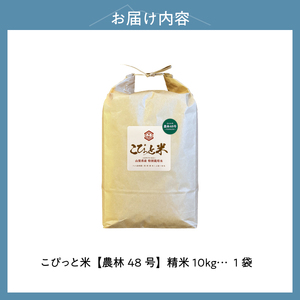 【令和7年度米】こぴっと米【農林48号】10kg　1等特別栽培米100％ 米 精米 よんぱち 幻のお米 北杜市産 お米  [h020]
