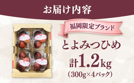 【先行受付】いちじく とよみつひめ 秀品 1.2kg [ADAY001] いちじく