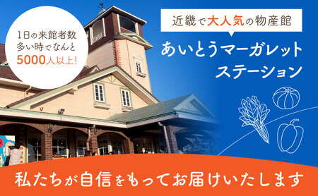 季節の旬野菜セット 産地直送 あいとうマーガレットステーション 滋賀県 東近江市 A51 野菜 詰め合わせ セット 産直 新鮮旬野菜 旬の野菜 お取り寄せ グルメ