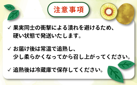 訳あり キウイ 紅妃 レッドキウイ 2kg Shirai.agrifarm F010-115002