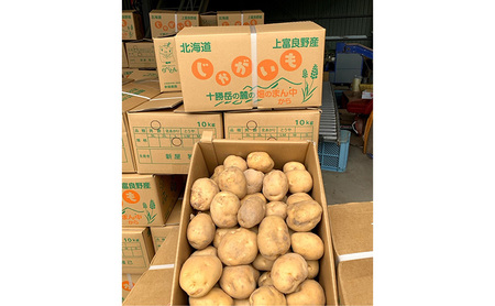 【令和8年産】かみふらのじゃがいも「男爵5kg & キタアカリ5kg」 野菜 旬の野菜 北海道産 北海道野菜 国産 国産野菜 グルメ 食材 ポテト 北海道産じゃがいも 