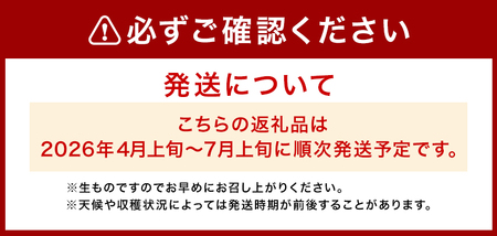 キンショーメロン 4kg(6～9玉) メロン《2026年4月上旬-7月上旬頃出荷》熊本県 菊池市 果物 フルーツ 金鐘 ノーネットメロン 黄色いメロン 菊池市産 熊本県産 九州産 送料無料