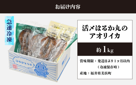 【先行予約】イカ お刺身で食べる 天然 アオリイカ 約1kg【2026年11月上旬以降順次発送予定】 [m36-b008]