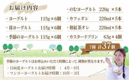 高千穂牧場ヨーグルト&ドリンクバラエティセット(プリン付き)《ご入金翌月の中旬～下旬の水曜日頃出荷》_MJ-1616_(都城市) 乳製品 ヨーグルト 苺ヨーグルト 季節のヨーグルト のむヨーグルト カフェオレ 和紅茶オレ カスタードプリン セット ヨーグルト 7種 濃厚 ヨーグルト 7種 濃厚 和紅茶オレ 