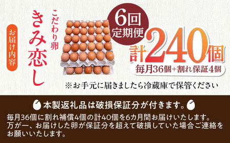 【6回定期便】きみ恋し 箱入り 40個（36個+割れ保証4個）×6ヶ月　総計240個  [AFAJ008]