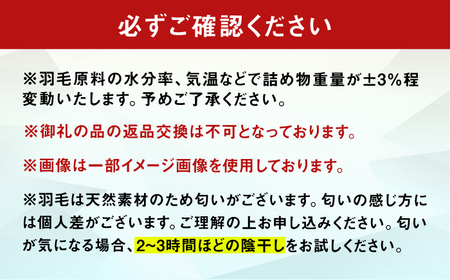 【春秋用】シングル掛け布団 羽毛0.7kg アイボリー ハンガリー産 / 布団 寝具 ふとん [AFAO014]
