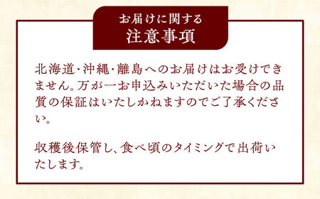 【12月上旬発送開始】愛宕梨 約3kg (3玉-5玉) / 梨 なし ナシ フルーツ[AFAR025]