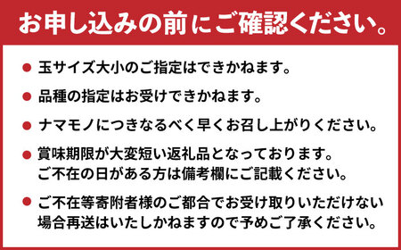 【8月上旬発送開始】 食べ頃品種を2種以上お届け! 梨 食べ比べセット 約5kg （5玉-18玉） / 梨 [AFAR027]