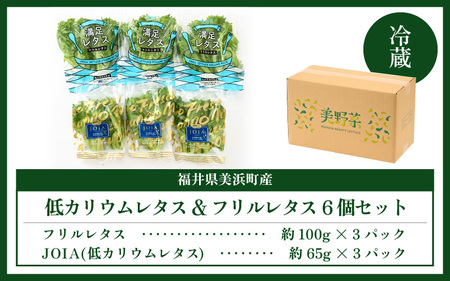 美浜の水で育った ピュアレタス 6個セット 低カリウムレタス&フリルレタス【栽培期間中 農薬不使用 野菜 生野菜 レタス 詰め合わせ グリーンリーフ サラダ サンドイッチ お弁当 水耕栽培 洗わず食べられる 時短 付け合わせ ダイエット ヘルシー】[m40-a004]