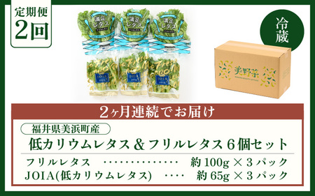 定期便 ≪2ヶ月連続お届け≫ 低カリウムレタス&フリルレタス　計6個セット 全2回 【福井県美浜町産】【野菜 生野菜 レタス サラダ サンドイッチ お弁当 水耕栽培 洗わず食べられる 時短 付け合わせ ダイエット ヘルシー】レタス フリルレタス 野菜 サラダ ダイエット ヘルシー [m40-a007]