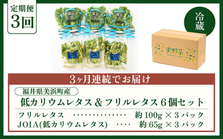 定期便 ≪3ヶ月連続お届け≫ 低カリウムレタス&フリルレタス　計6個セット 全3回 【福井県美浜町産】【野菜 生野菜 レタス サラダ サンドイッチ お弁当 水耕栽培 洗わず食べられる 時短 付け合わせ ダイエット ヘルシー】レタス フリルレタス 野菜 サラダ ダイエット ヘルシー  [m40-a008]