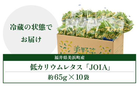低カリウムレタス 美野菜 「JOIA」 10袋 クリーンルーム栽培 無農薬 鮮度長持ち 【野菜 生野菜 レタス サラダ お弁当 水耕栽培 洗わず食べられる 時短 付け合わせ】レタス フリルレタス 野菜 サラダ ダイエット ヘルシー  [m40-a010]