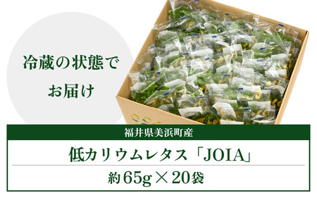 低カリウムレタス 美野菜 「JOIA」 20袋 クリーンルーム栽培 無農薬 鮮度長持ち 【野菜 生野菜 レタス サラダ お弁当 水耕栽培 大容量 洗わず食べられる 時短 付け合わせ】レタス フリルレタス 野菜 サラダ ダイエット ヘルシー レタス フリルレタス 野菜 サラダ ダイエット ヘルシー [m40-b003]
