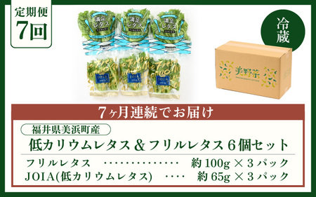 定期便 ≪7ヶ月連続お届け≫ 低カリウムレタス&フリルレタス　計6個セット 全7回 【福井県美浜町産】【野菜 生野菜 レタス サラダ サンドイッチ お弁当 水耕栽培 洗わず食べられる 時短 付け合わせ ダイエット ヘルシー】レタス フリルレタス 野菜 サラダ ダイエット  [m40-c002]