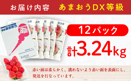 【★先行予約★ 2027年2月より発送】いちご（あまおう）DX等級 6ケース（270g×12P）  / いちご [AFAB006]