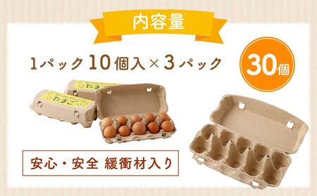 【食べチョクアワード2025 畜産部門 1位の日本一のたまご】単なる平飼いではない究極の卵『わたしたちのぷらいどたまご』3パック（30個）セット