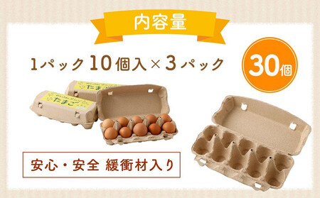 【定期便：6か月】【食べチョクアワード2025 畜産部門 1位の日本一のたまご】単なる平飼いではない究極の卵『わたしたちのぷらいどたまご』3パック（30個）セット