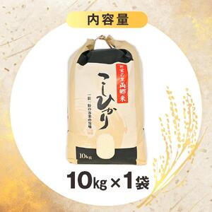 地元産 両郷米 10Kg ×1袋 ｜  お米 コシヒカリ こしひかり 栃木県 大田原市