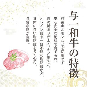大田原市公式「大田原ブランド」認定第７号「与一和牛100％生ハンバーグ」200ｇ10個入りソース付き