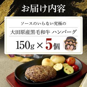 ソースのいらない究極の大田原産黒毛和牛 ハンバーグ | 黒毛和牛 熟成 高級 和牛 ハンバーグ