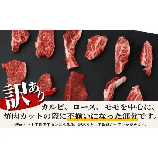 【訳あり】 石垣牛 焼肉用　(不揃い)　500g 