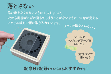 乳歯ケース紐蝶番｜乳歯 ケース 乳歯入れ 2種類 乳歯 プレゼント SDGs 知育 新生活 木製 国産 増田桐箱店