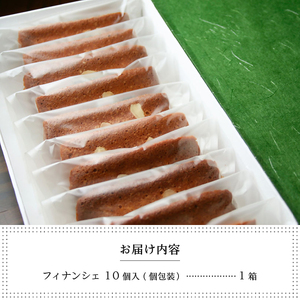 和菓子職人のフィナンシェ(financier)10個 皇室献上菓匠 三省堂 ギフト箱入り焼菓子（VYD）A09-930