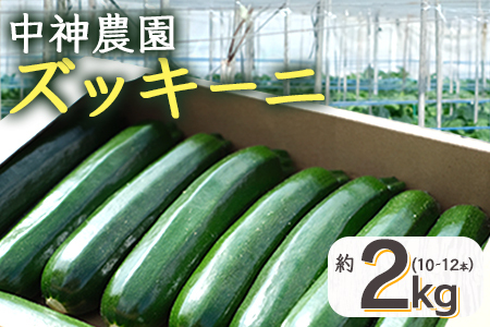 【11月上旬～5月下旬発送】中神農園の ズッキーニ 約2kg (10～12本) 野菜 夏 やさい 煮る 炒める 生食 ミネラル ビタミンC ずっきーに 新鮮 国産 九州 熊本県 多良木町 071-0506