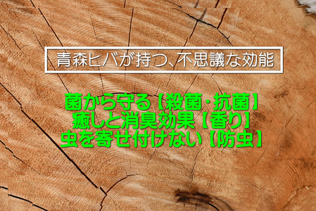 青森ひば油 癒しの雫 100ml×1 [0606]