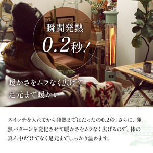 アラジン赤外グラファイトヒーター緑 遠赤グラファイトヒーター（1灯管） | Aladdin（アラジン）公式サイト