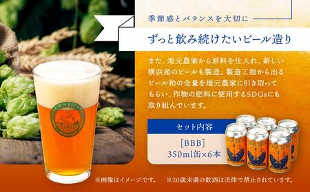 TDM 1874 Brewery クラフトビール　BBB（British Best Bitter）（350ml×6本）【お酒・地ビール・酒】 ABG0003