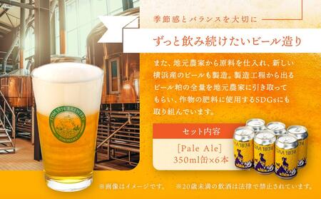 TDM 1874 Brewery クラフトビール Pale Ale ペールエール (350ml×6本)【お酒・地ビール・酒】 ABG0004