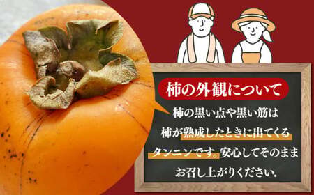★ 4.8 獲得 訳あり 富有柿 約 7kg ご自宅用 （ 約22個 ～ 30個 入り）| 西岡農園