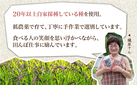 《定期便 》白川郷の古代米 黒米 150g 12回お届け 玄米 もち米 紫黒米 雑穀 岐阜県 白川村 観光地応援  [S738]