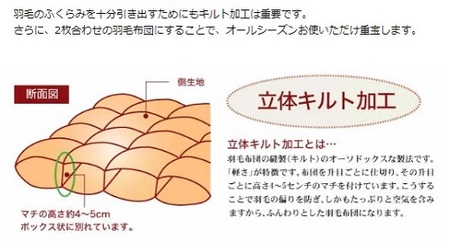 夏に使う羽毛ふとん/立体キルト 布団 睡眠 寝具 ふとん【251-000287-20】【26-1】