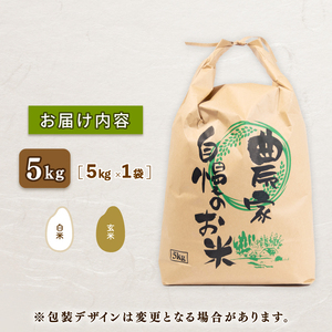【 新米予約 】 特別栽培米 こしひかり 令和7年 米 5kg 白米 定期便 6ヶ月 計 15kg コシヒカリ 2025年産 国産 農家直送 コシヒカリ 5kg × 6回 国産 農家直送 環境こだわり お米 こめ おこめ 農家直送 産地直送 送料無料