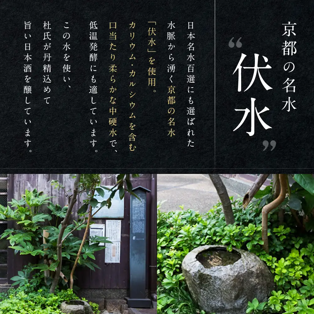 【黄桜】Ｓ純米大吟醸 (180ml×20本)| 日本酒 酒 人気