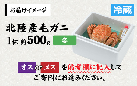 【姿】【成前特選】美味しさ直送！北陸産 毛ガニ 500ｇ前後×1杯（オス、メス） [B-028006_01] / 毛ガニ