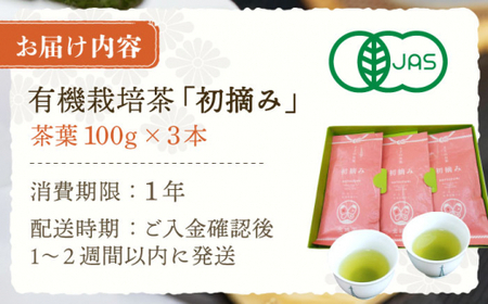 【こだわりブレンド茶】さざの有機栽培茶 初摘み 100g×3本詰め【宝緑園】[QAH002]