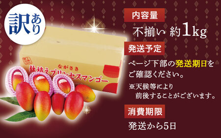 【先行予約】【訳あり】プリンセス マンゴー 不揃い 約1kg[QAT009] マンゴー フルーツ 