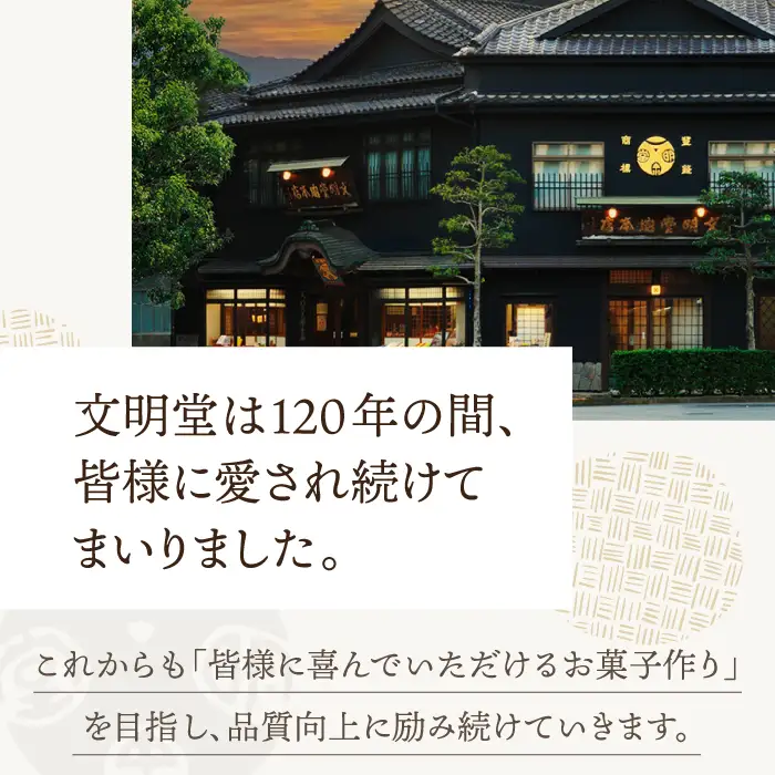 長崎 カステラ1.2号 カステラ[QAU018]