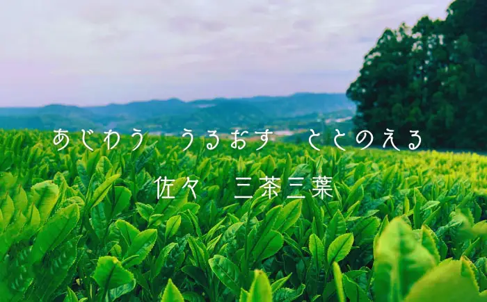 【三茶三葉 2nd】茶園のお茶3種 飲み比べ ミニセット 【佐々町観光協会】[QAW002]