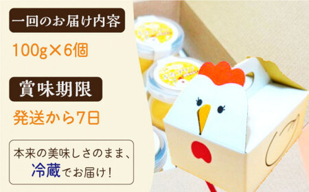 【全6回定期便】【卵が濃い！】たまごやさんのぷるプリン (濃厚仕立て) 6個入/回【ぷるたま工房】[QBB003]
