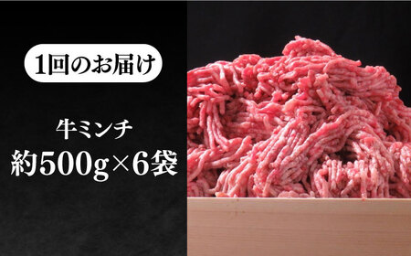 【全2回定期便】壱岐牛 A5ランク 牛ミンチ 約500g×6 [JER090]ミンチ