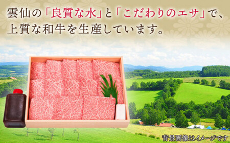 長崎和牛 特上ロース (ミニステーキ) 約700g [QBI002] 牛肉 焼肉 ステーキ 牛肉 焼肉 ステーキ