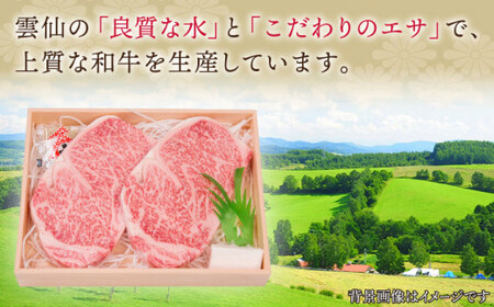 長崎和牛 サーロインステーキ 約1.0kg【株式会社 OGAWA】[QBI004] サーロインステーキ 九州 長崎 佐々町 ふるさと納税 おすすめ